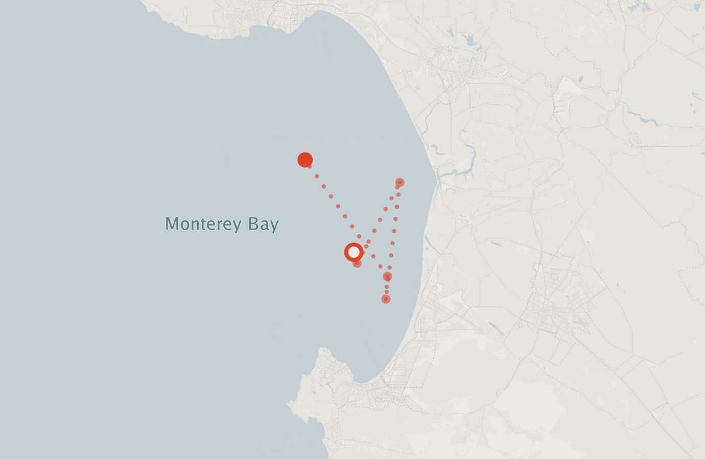 Activity map — real sighting points on an OpenStreetMap basemap