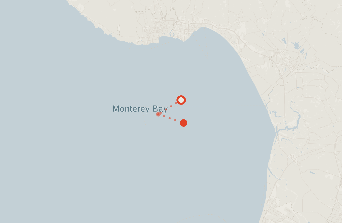Activity map — real sighting points on an OpenStreetMap basemap