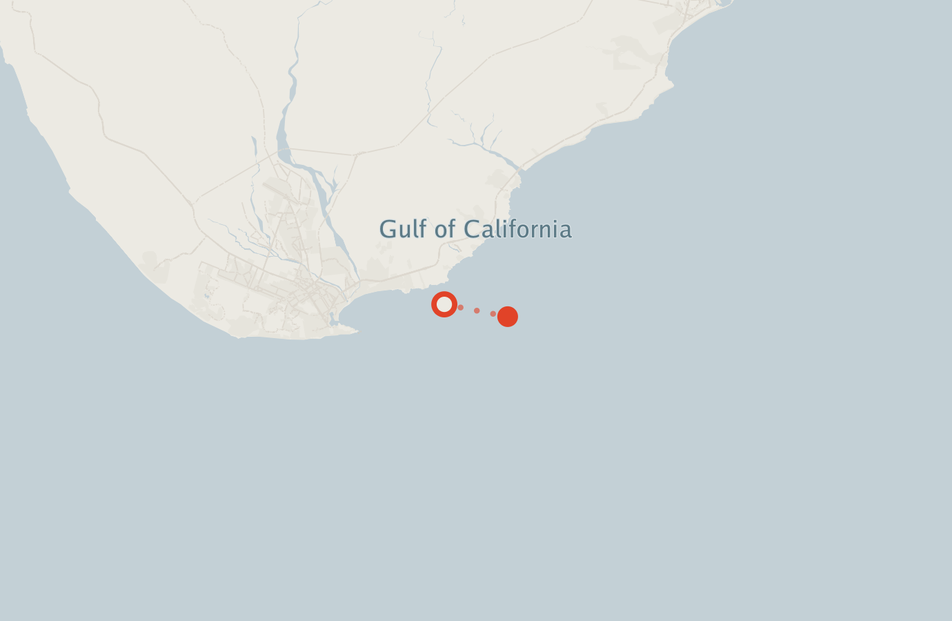 Activity map — real sighting points on an OpenStreetMap basemap