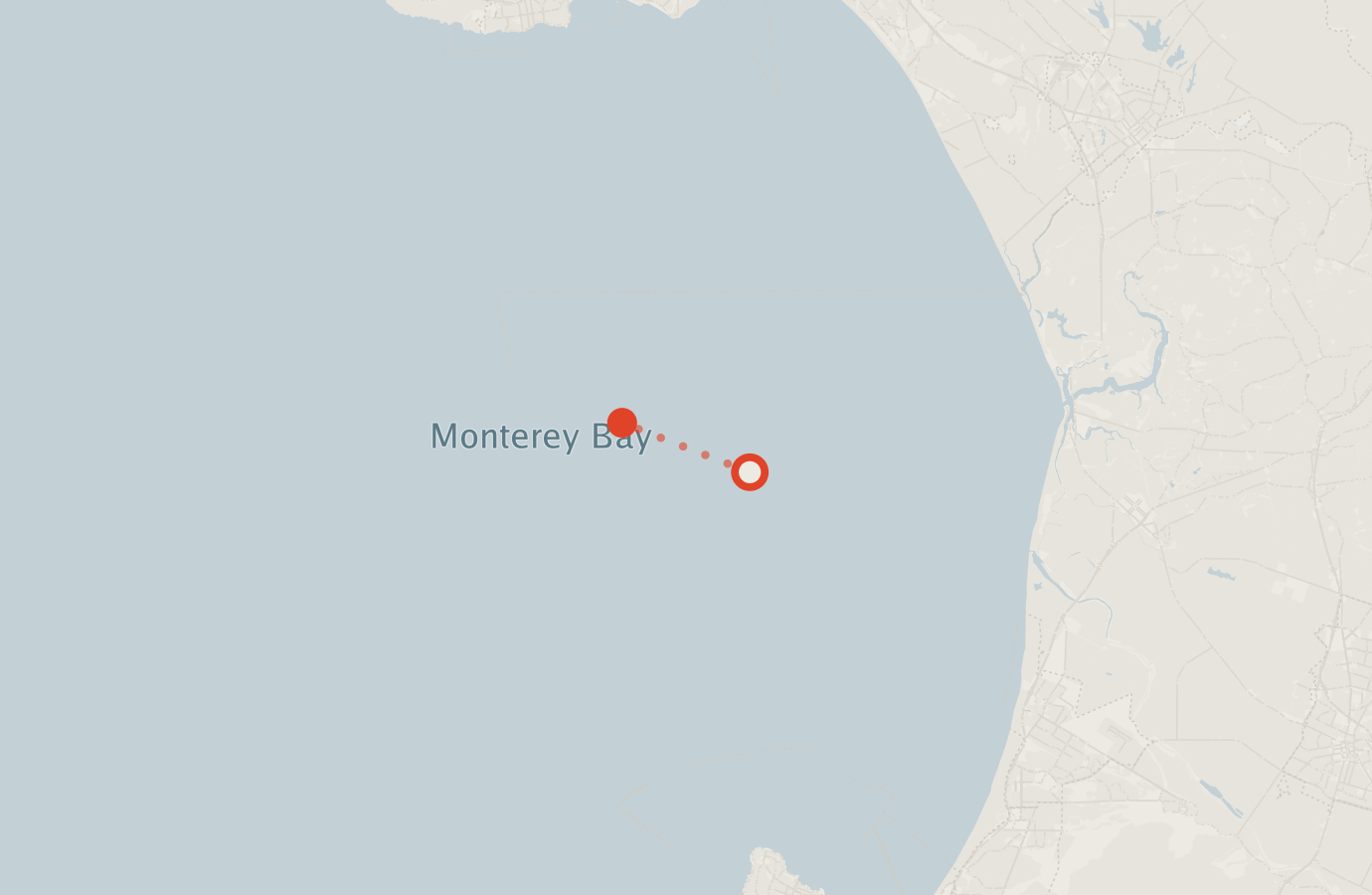 Activity map — real sighting points on an OpenStreetMap basemap
