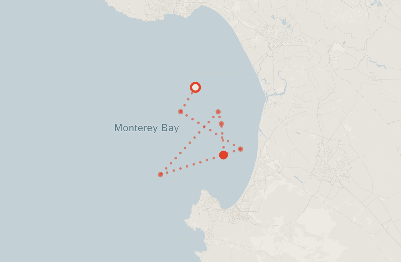 Activity map — real sighting points on an OpenStreetMap basemap