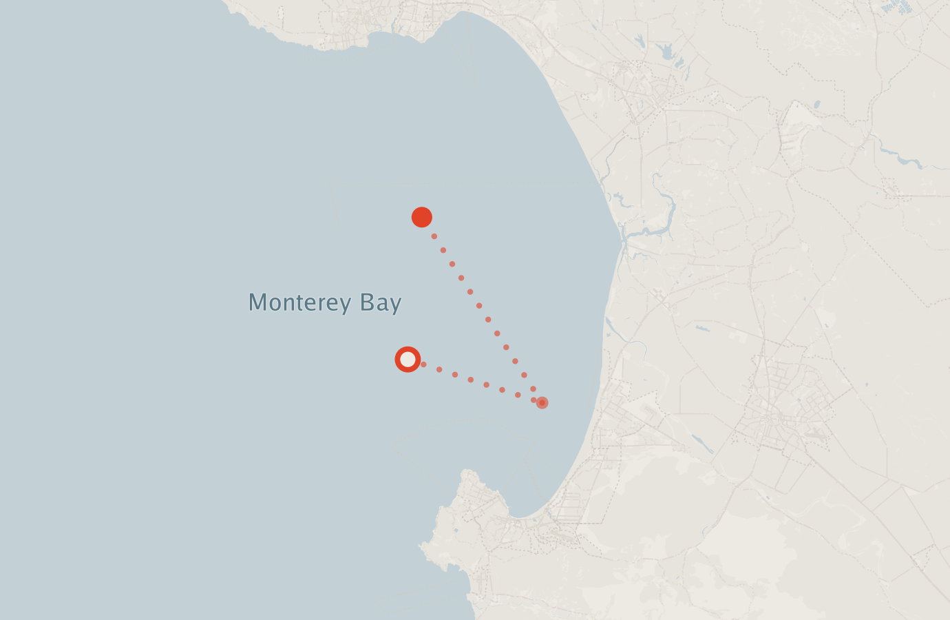 Activity map — real sighting points on an OpenStreetMap basemap