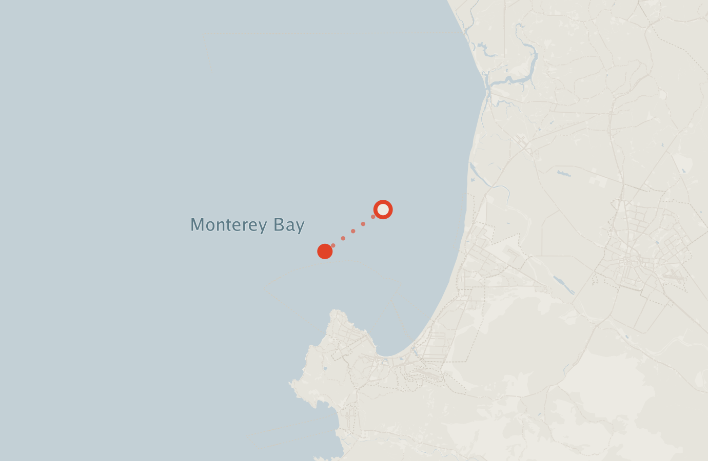 Activity map — real sighting points on an OpenStreetMap basemap