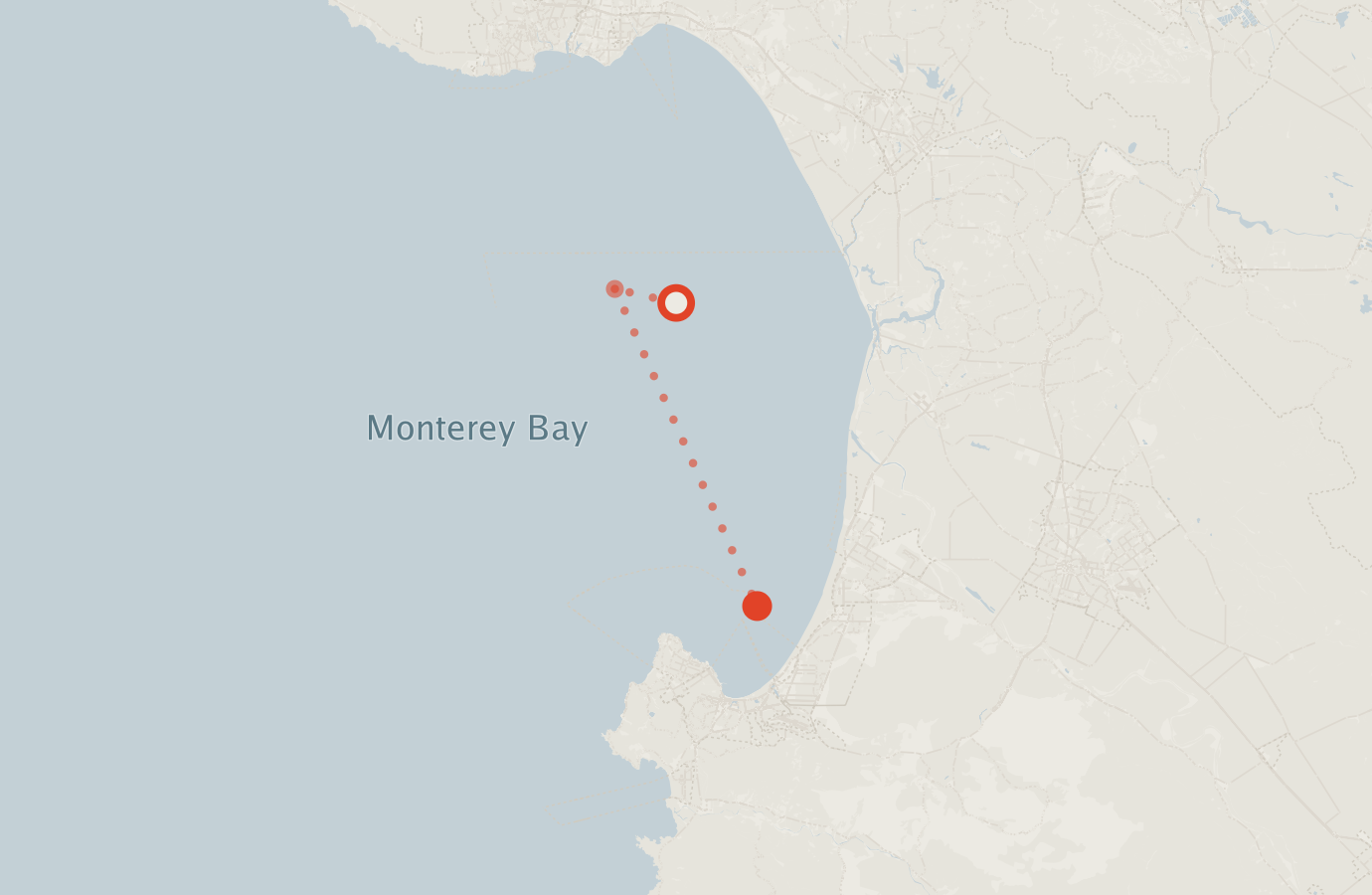 Activity map — real sighting points on an OpenStreetMap basemap