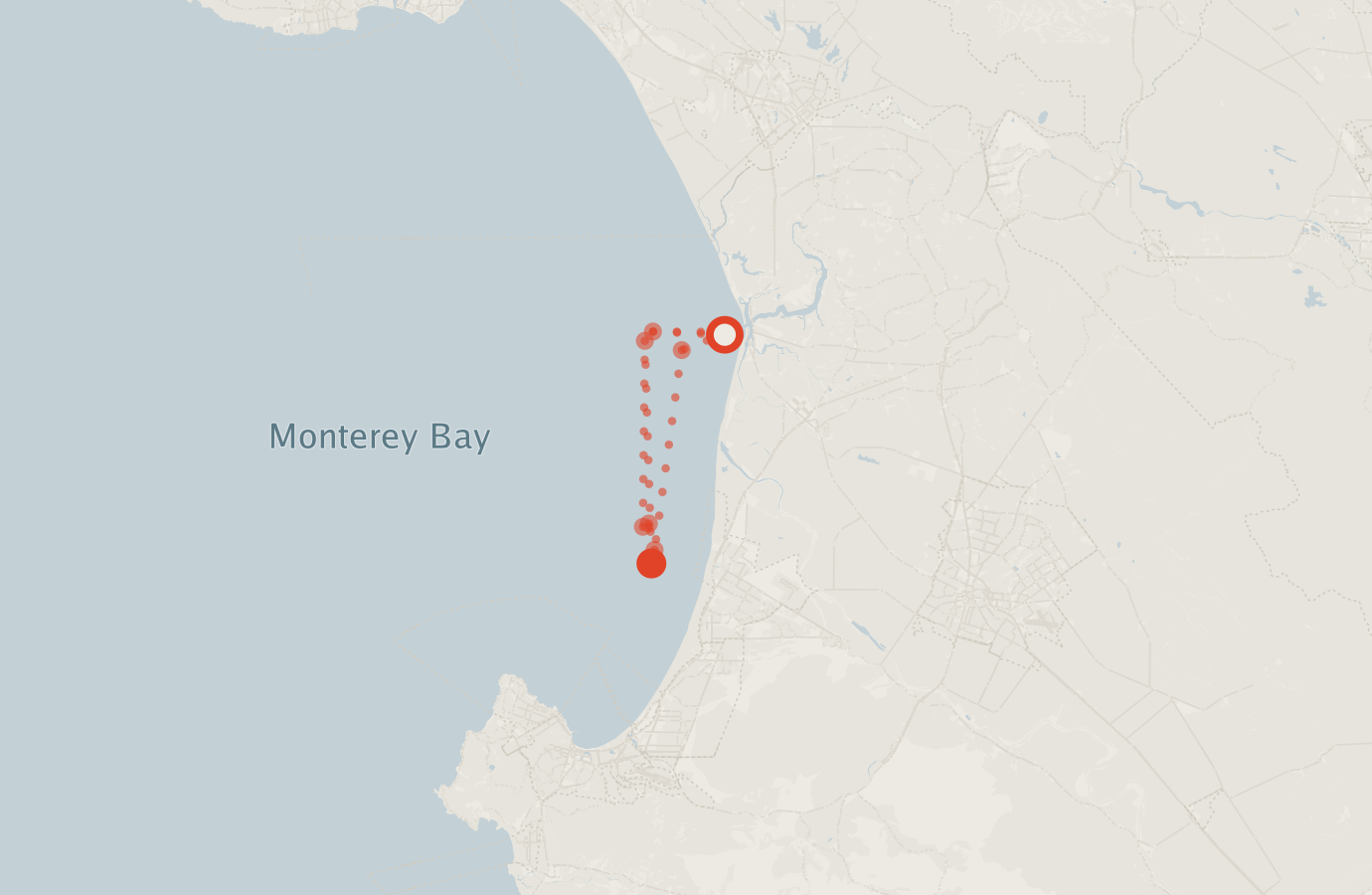 Activity map — real sighting points on an OpenStreetMap basemap
