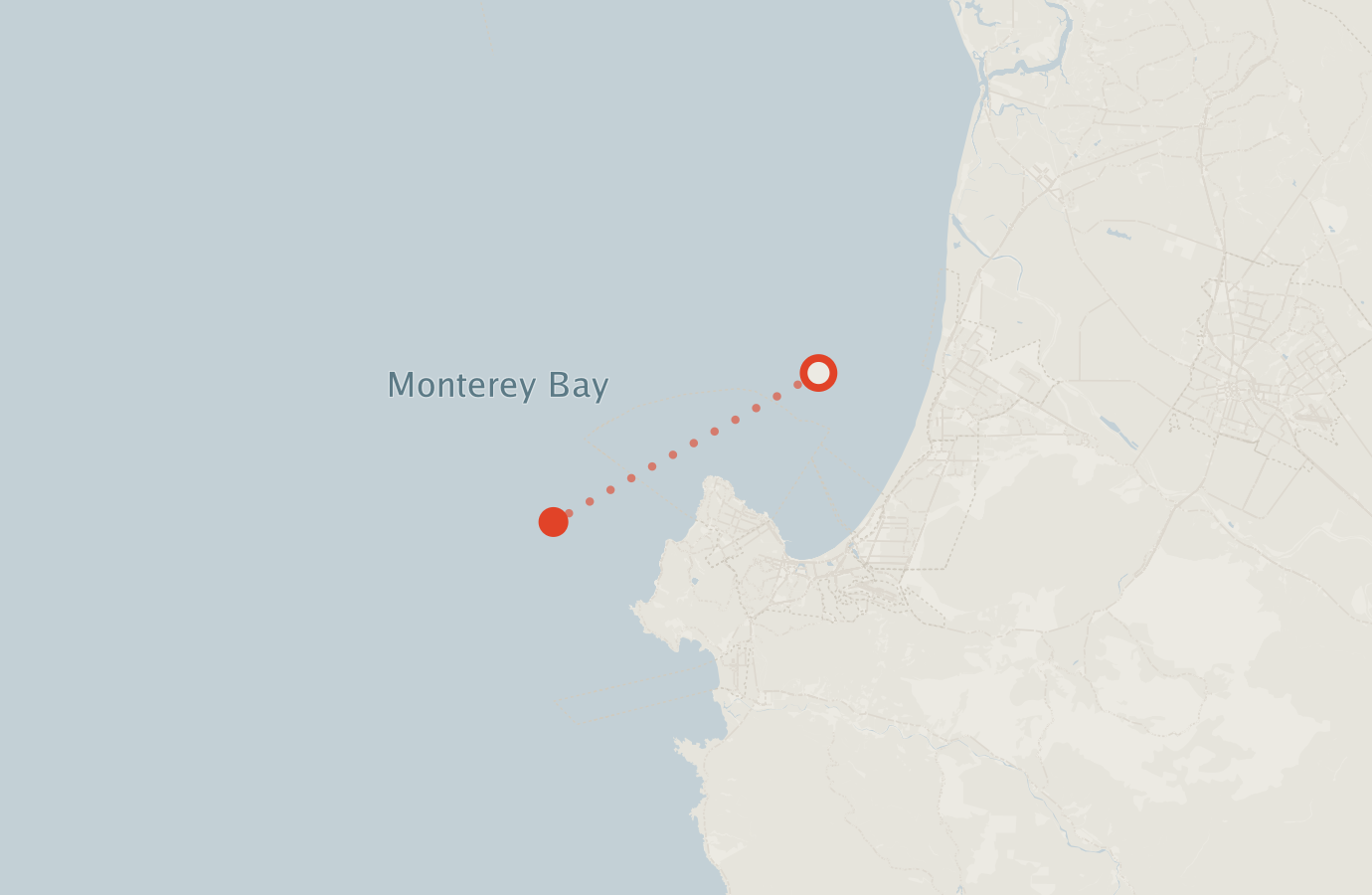 Activity map — real sighting points on an OpenStreetMap basemap