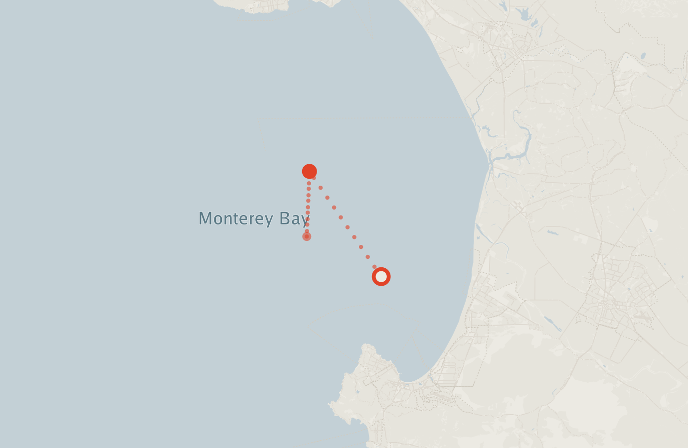 Activity map — real sighting points on an OpenStreetMap basemap