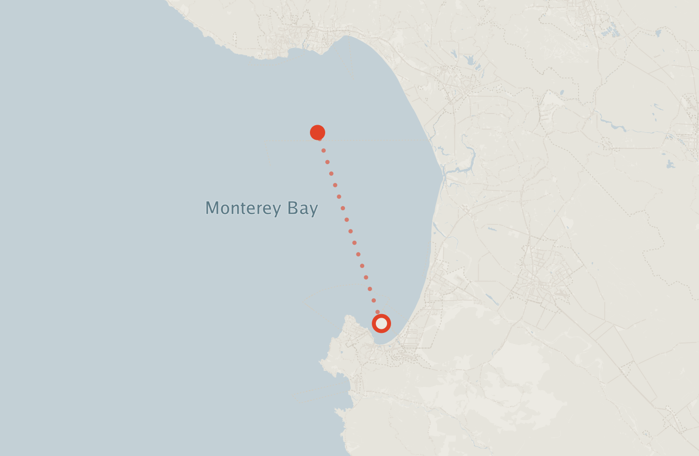 Activity map — real sighting points on an OpenStreetMap basemap