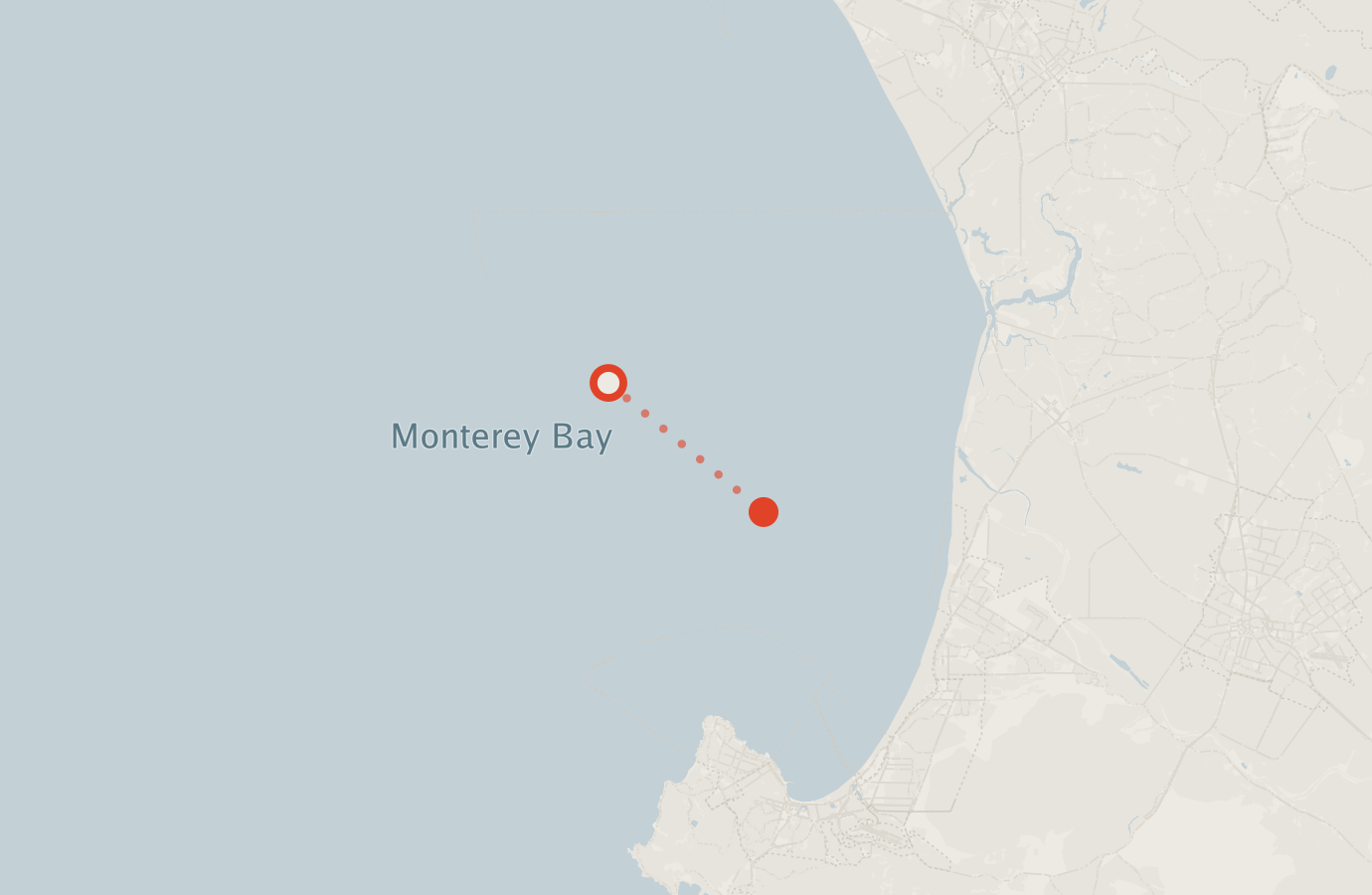 Activity map — real sighting points on an OpenStreetMap basemap