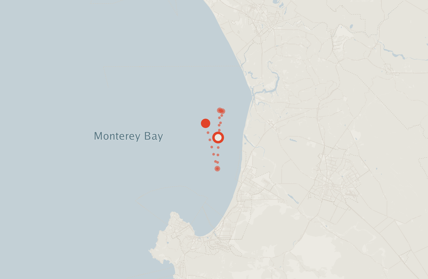 Activity map — real sighting points on an OpenStreetMap basemap