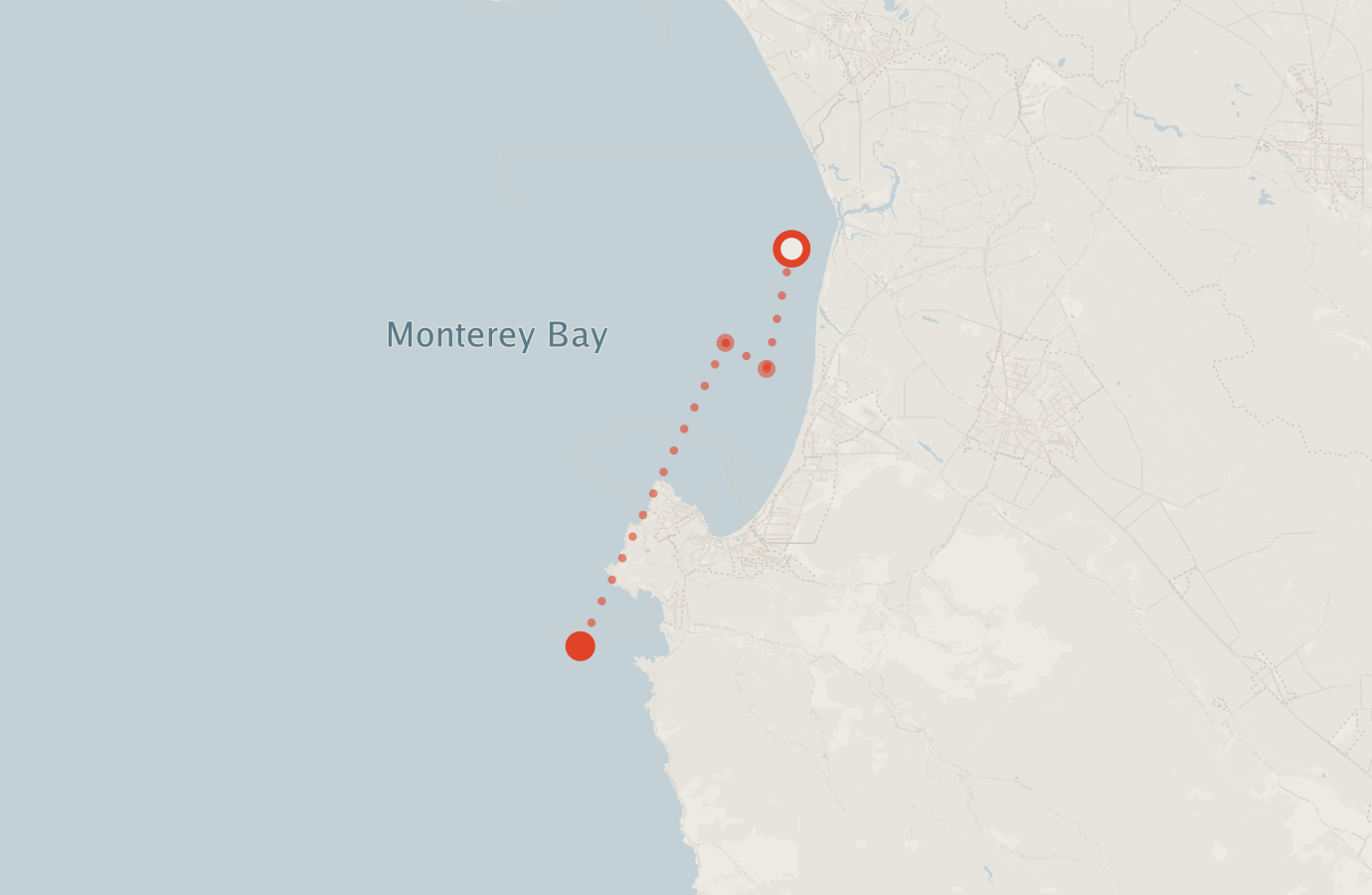 Activity map — real sighting points on an OpenStreetMap basemap
