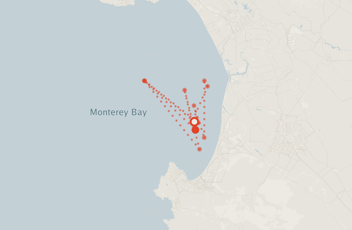 Activity map — real sighting points on an OpenStreetMap basemap