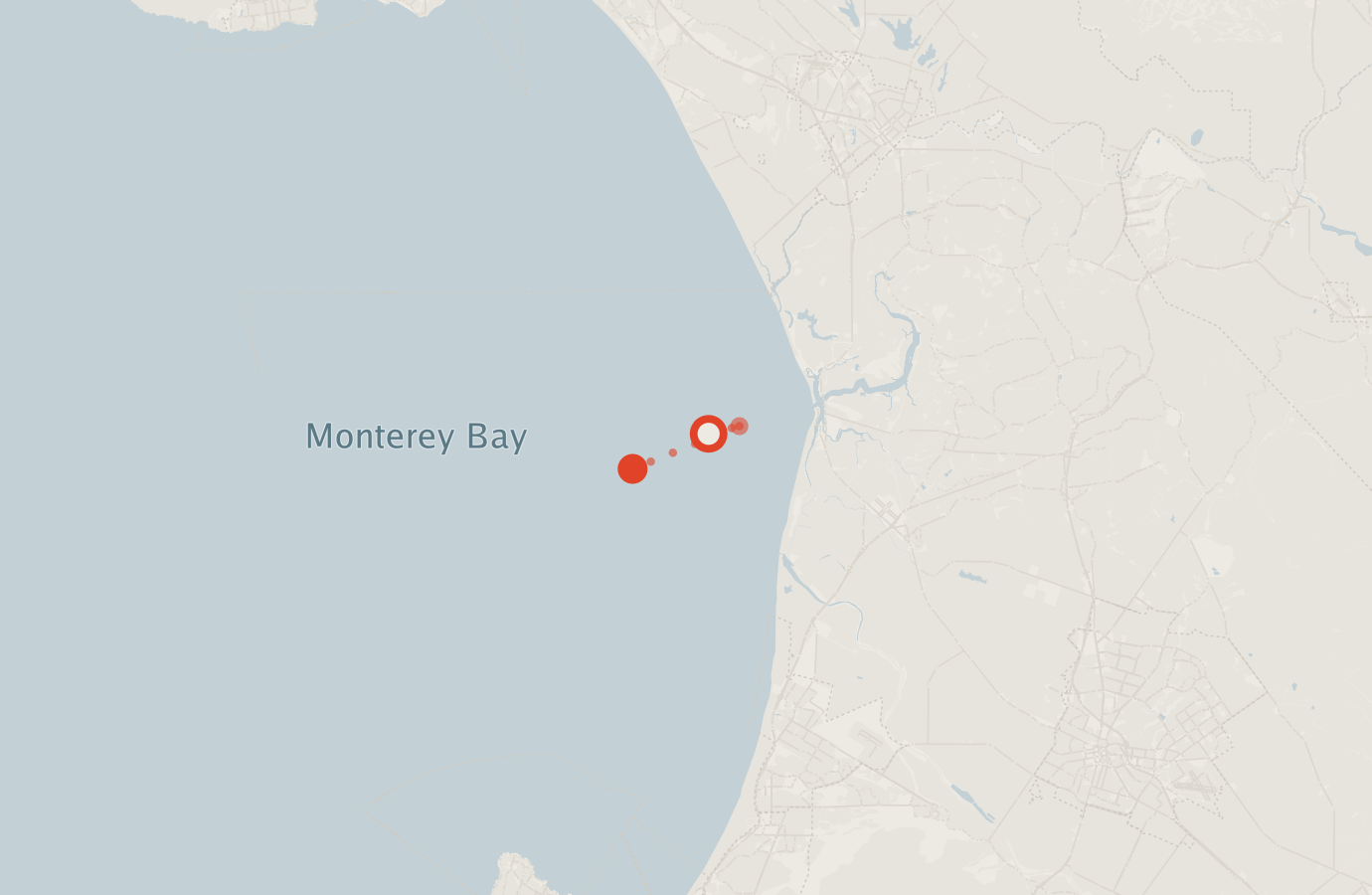 Activity map — real sighting points on an OpenStreetMap basemap
