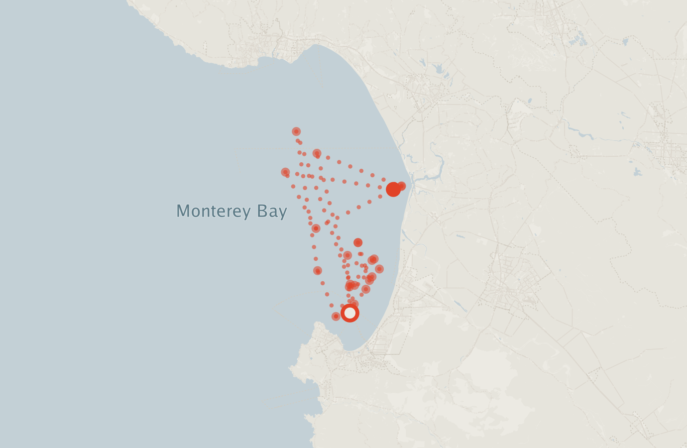 Activity map — real sighting points on an OpenStreetMap basemap