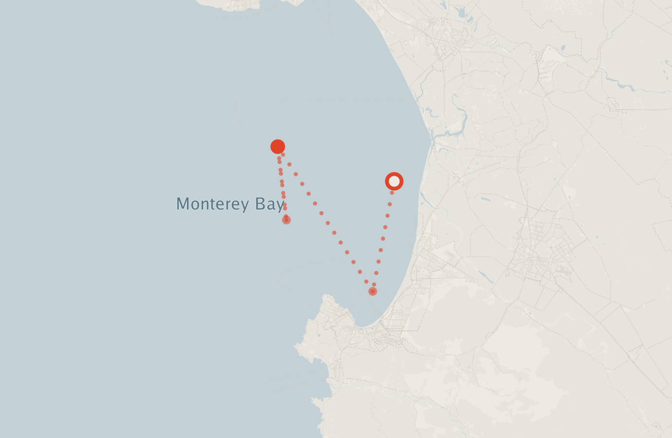 Activity map — real sighting points on an OpenStreetMap basemap