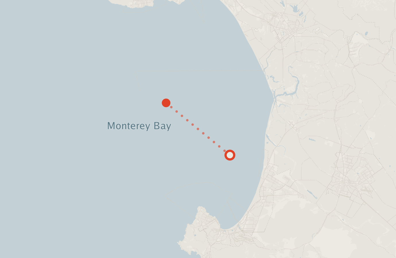 Activity map — real sighting points on an OpenStreetMap basemap