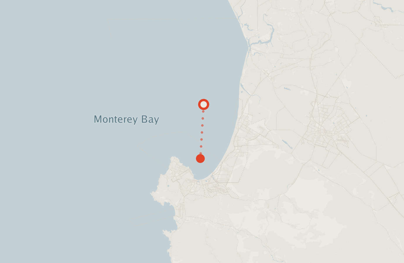 Activity map — real sighting points on an OpenStreetMap basemap