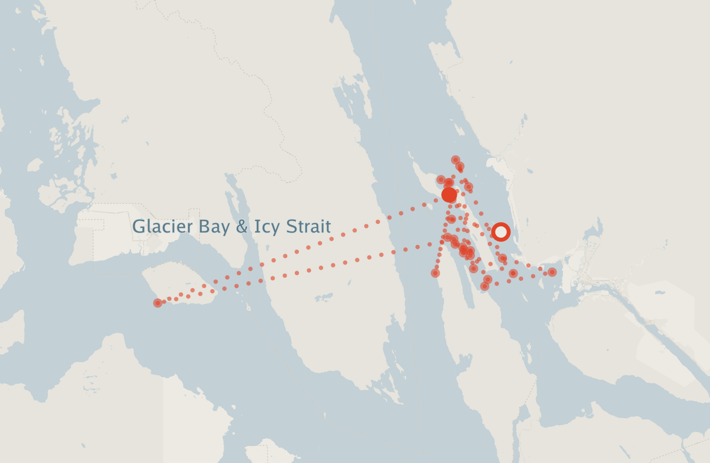 Activity map — real sighting points on an OpenStreetMap basemap