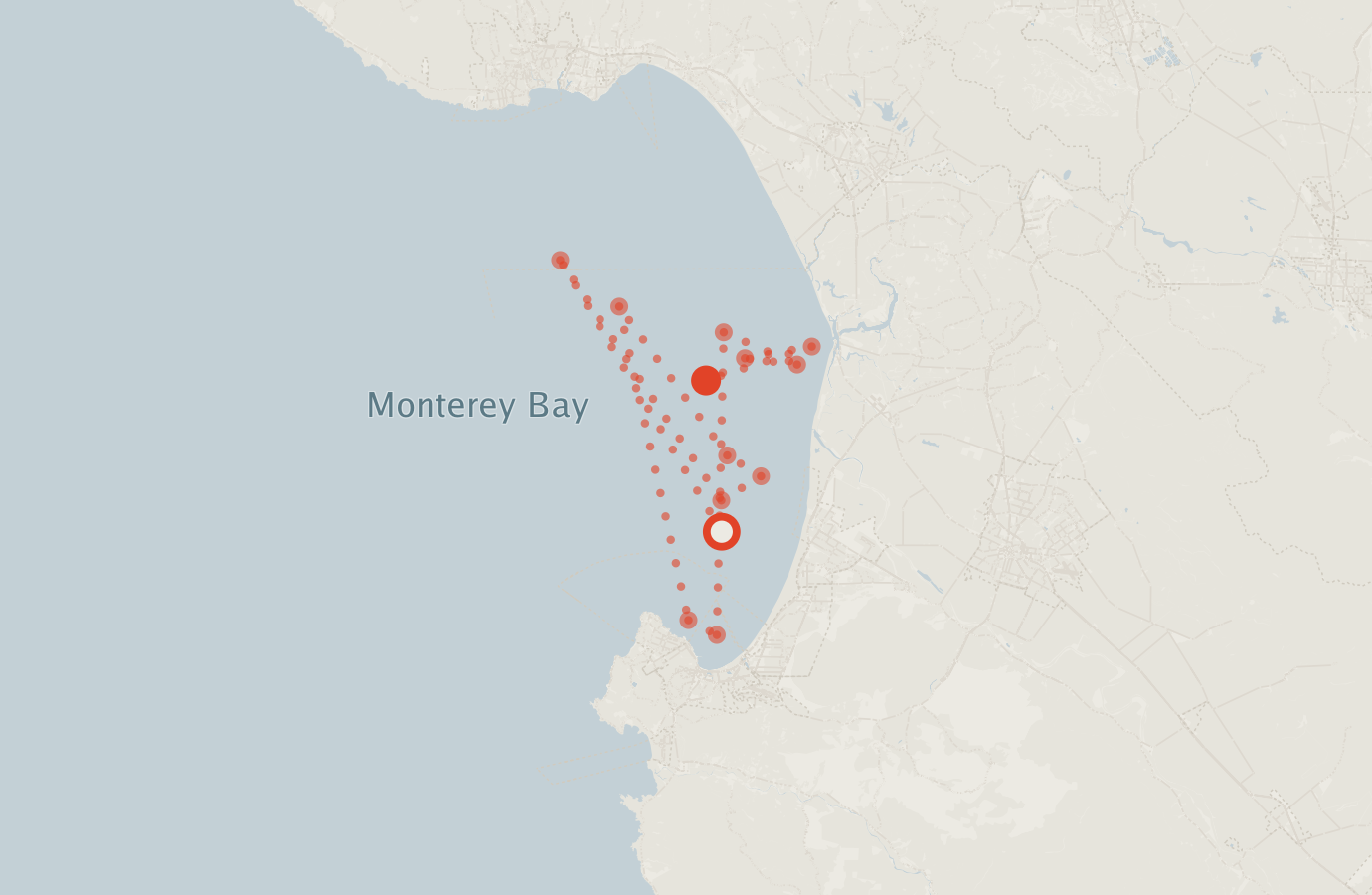 Activity map — real sighting points on an OpenStreetMap basemap