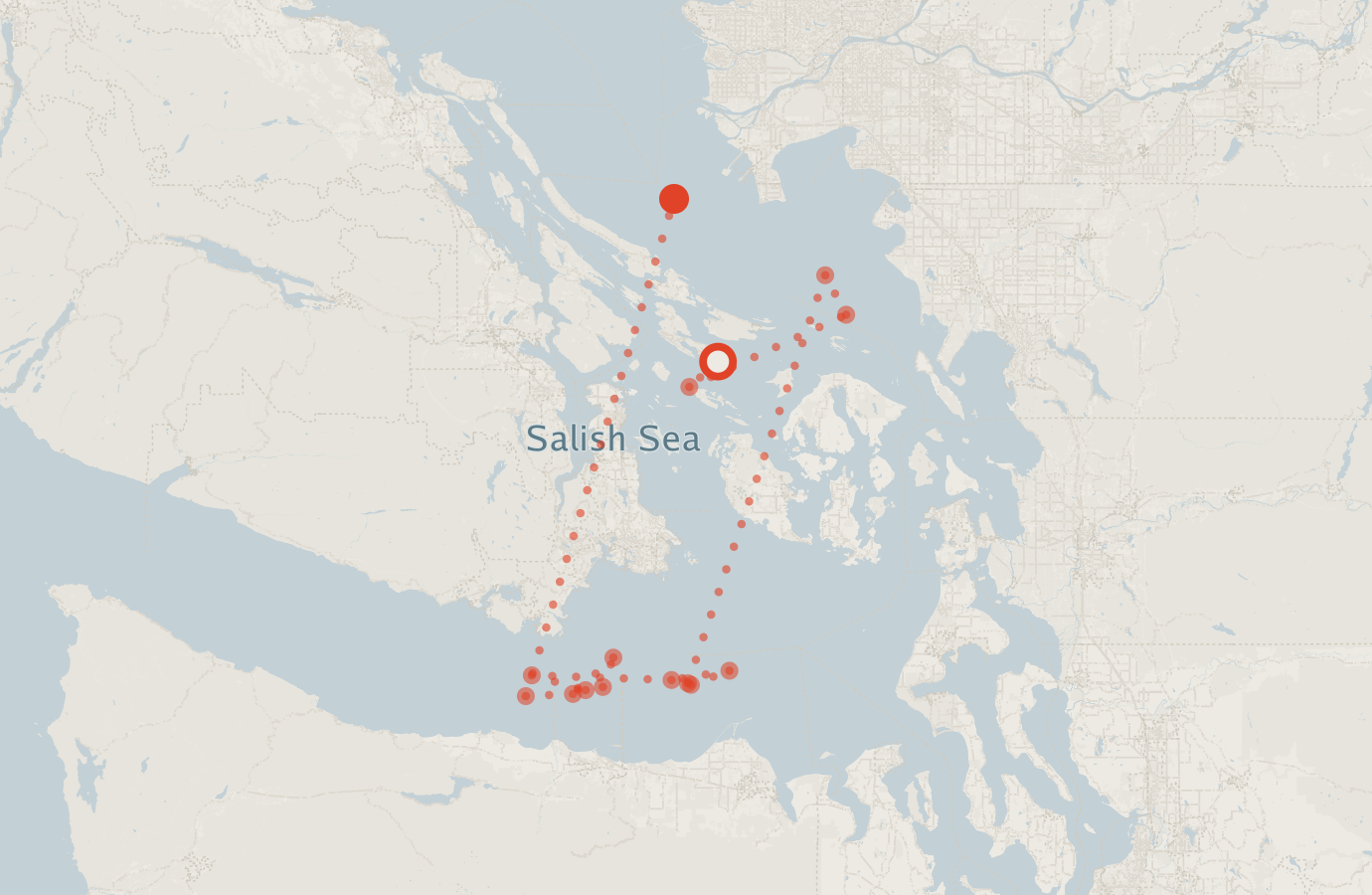 Activity map — real sighting points on an OpenStreetMap basemap