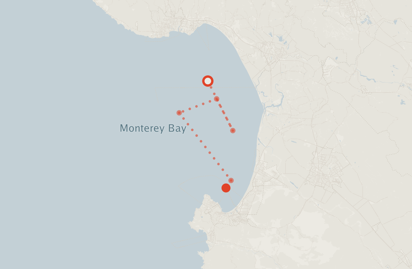 Activity map — real sighting points on an OpenStreetMap basemap