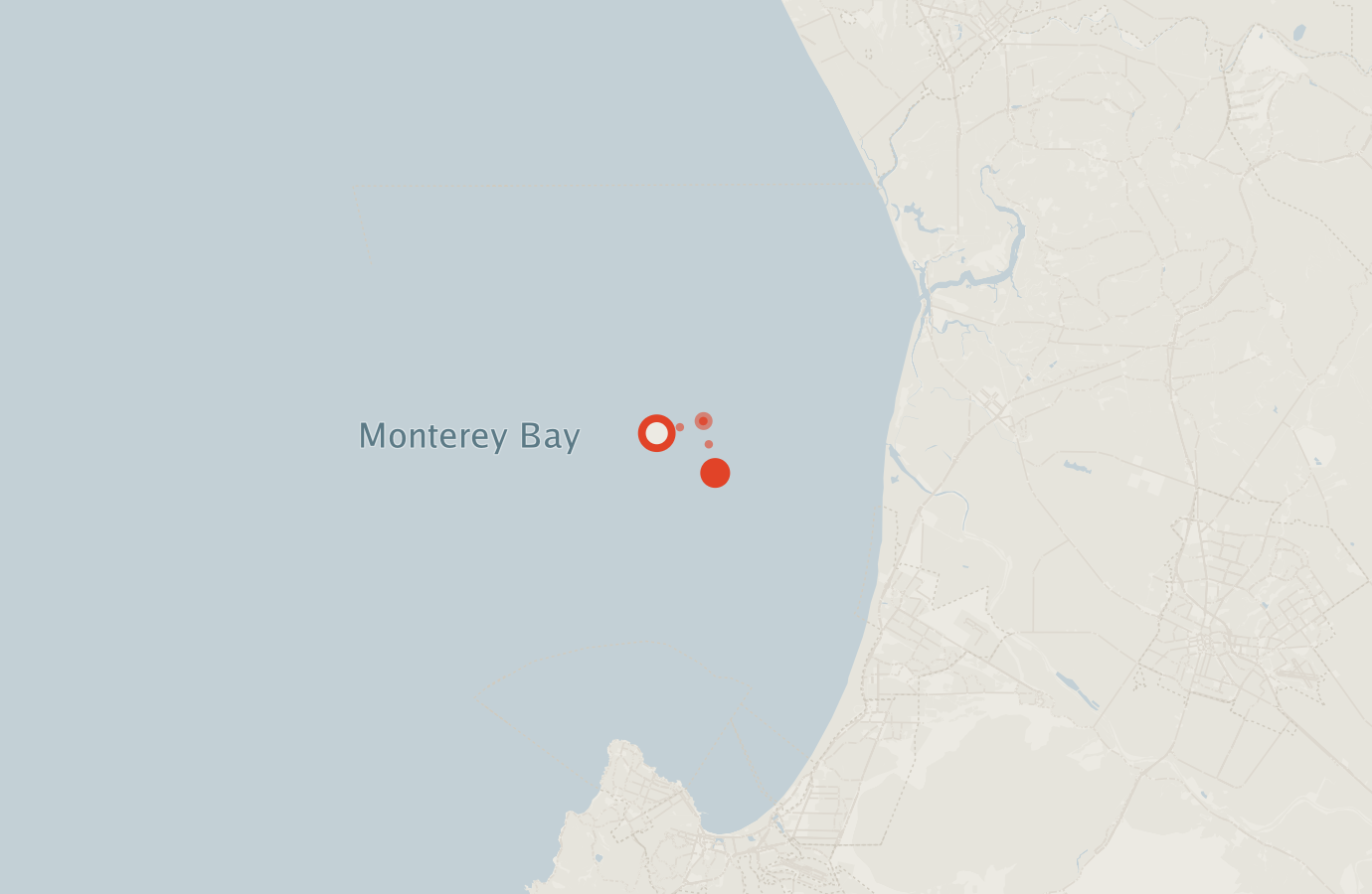 Activity map — real sighting points on an OpenStreetMap basemap