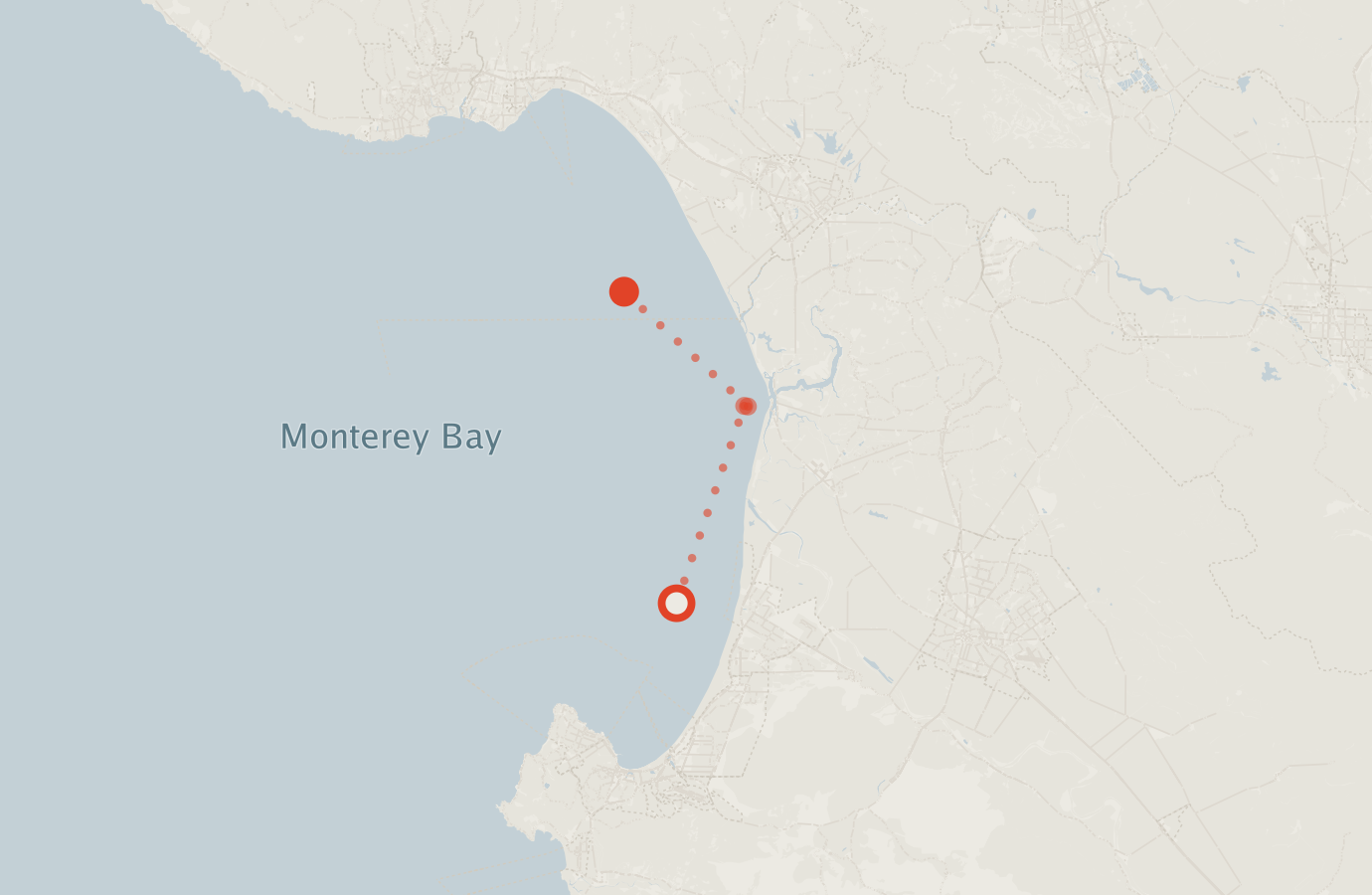 Activity map — real sighting points on an OpenStreetMap basemap