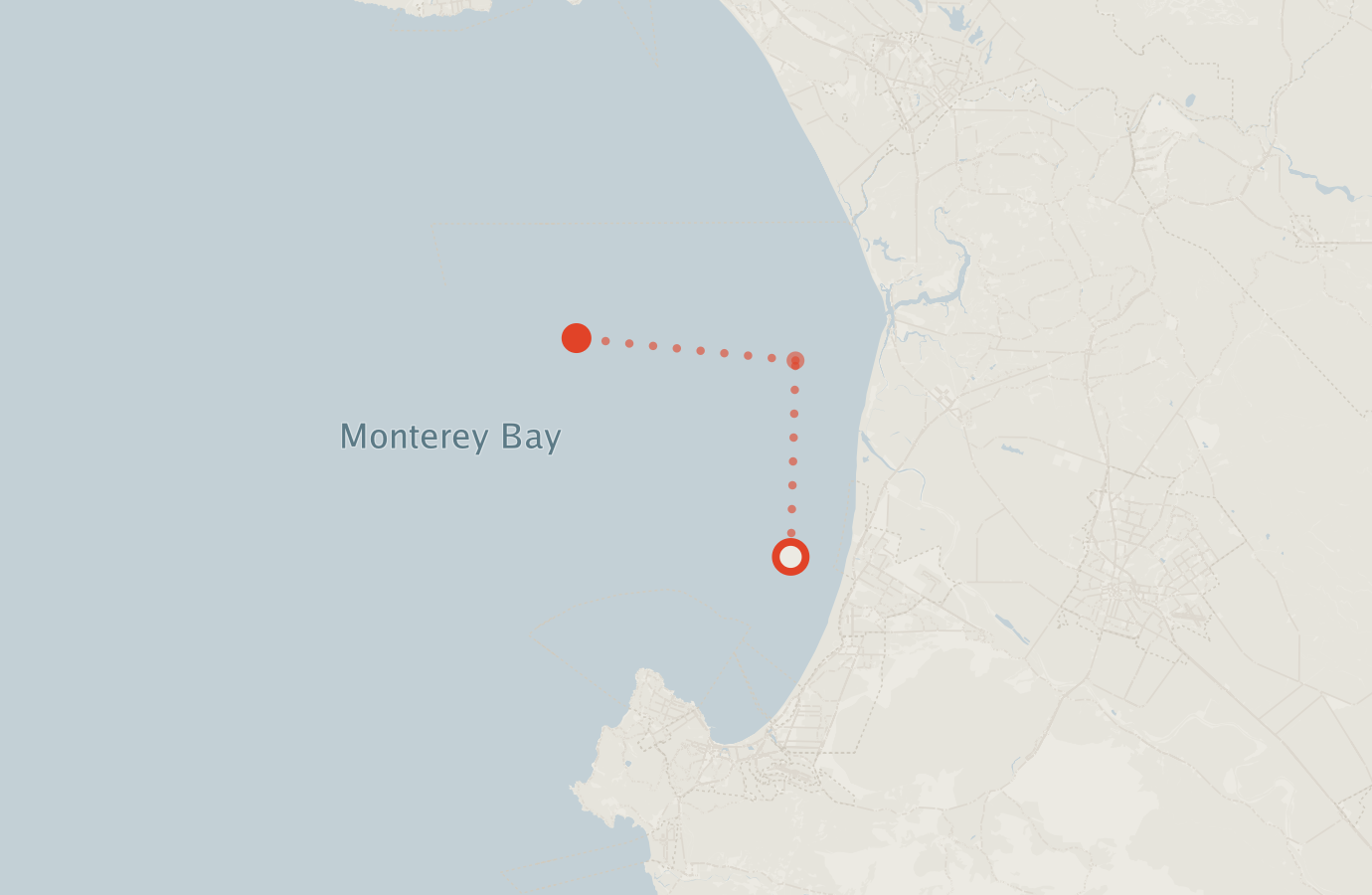 Activity map — real sighting points on an OpenStreetMap basemap