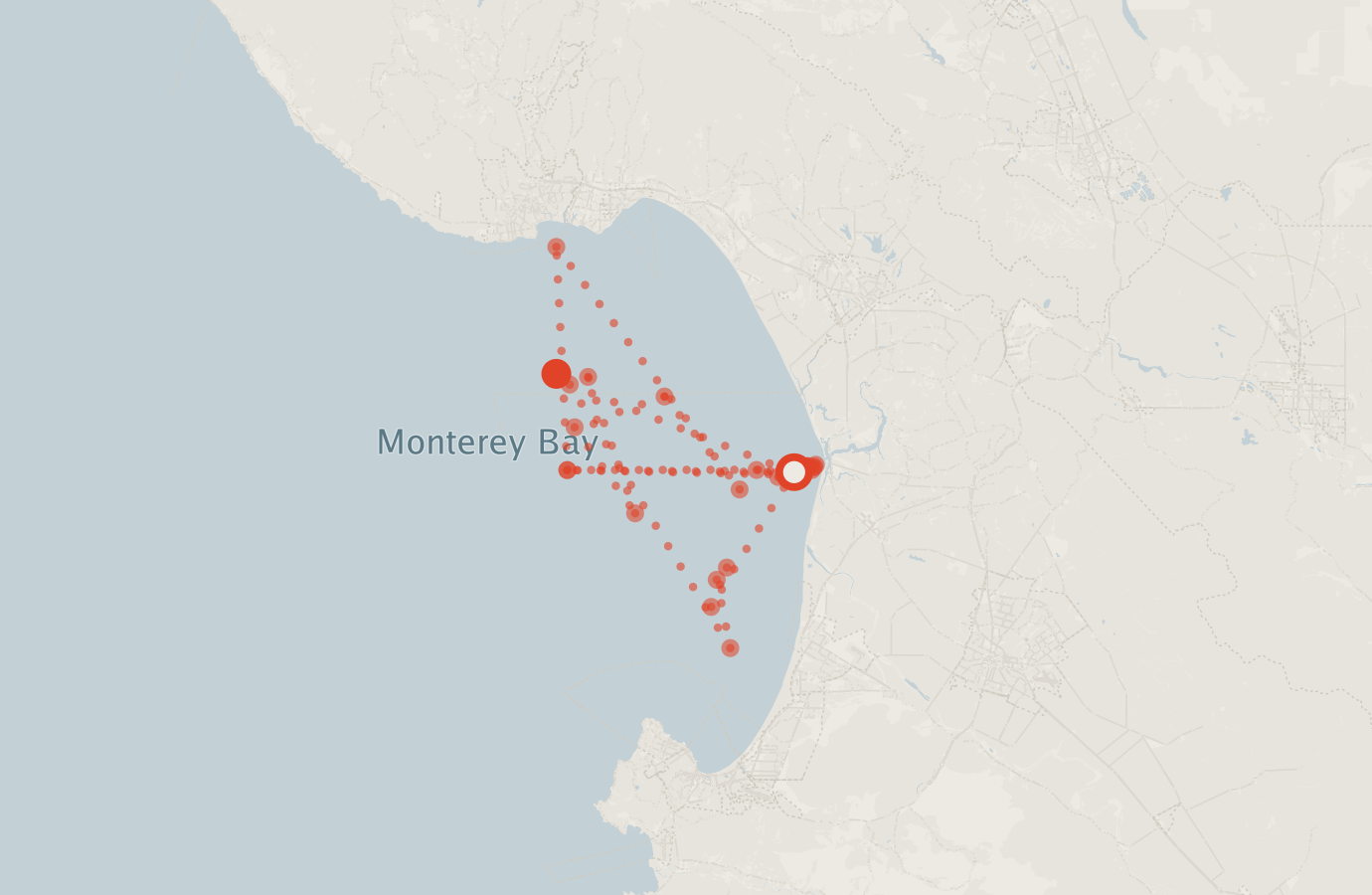 Activity map — real sighting points on an OpenStreetMap basemap