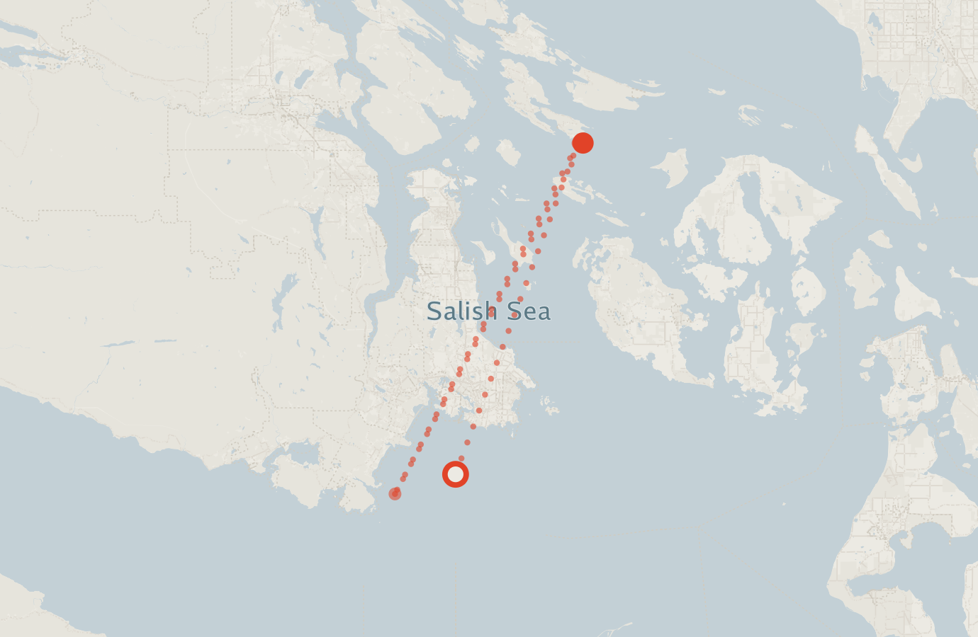 Activity map — real sighting points on an OpenStreetMap basemap