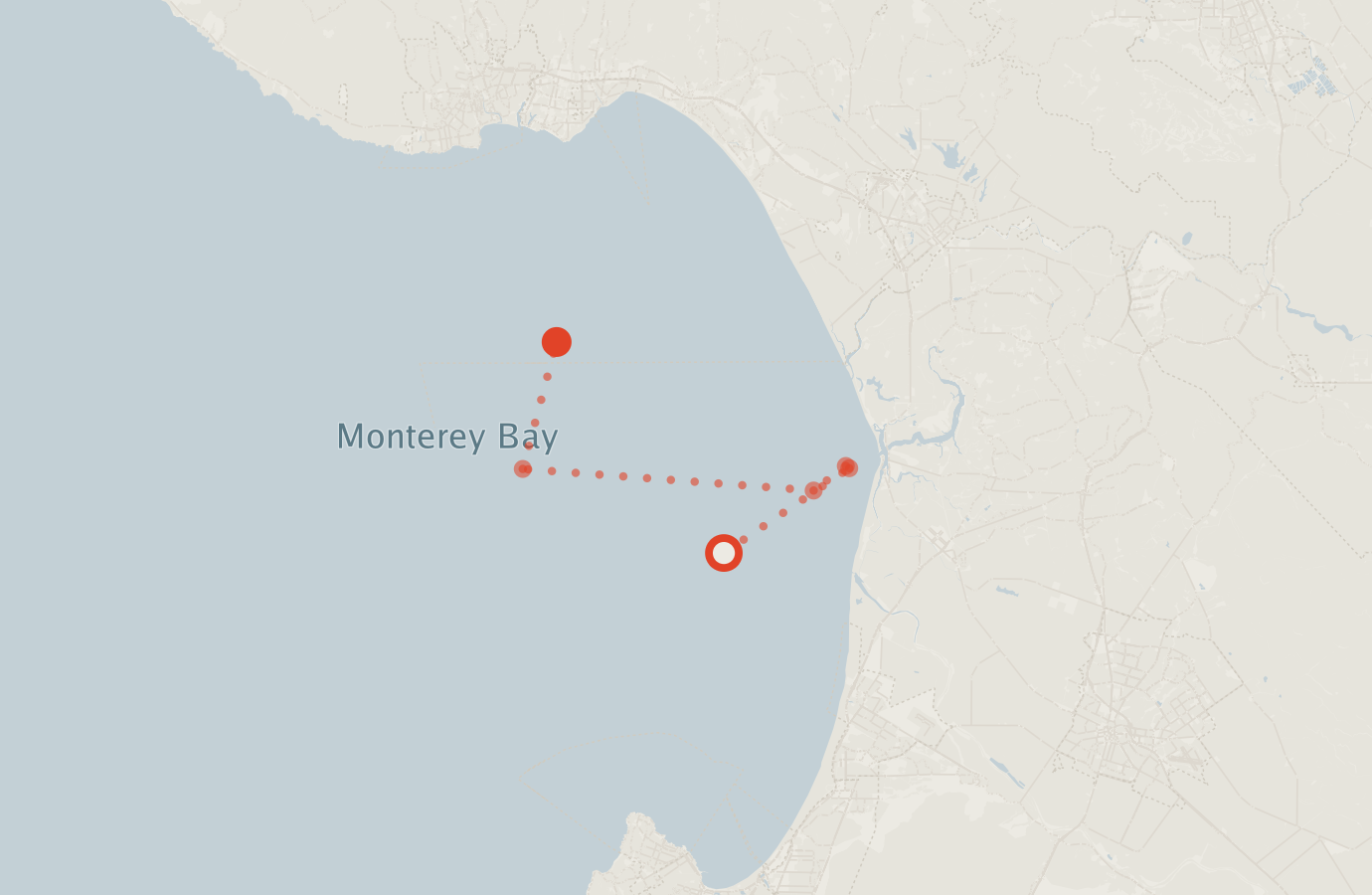 Activity map — real sighting points on an OpenStreetMap basemap
