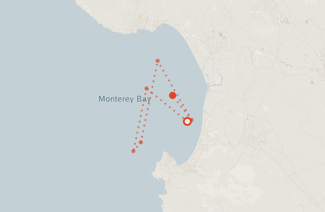 Activity map — real sighting points on an OpenStreetMap basemap
