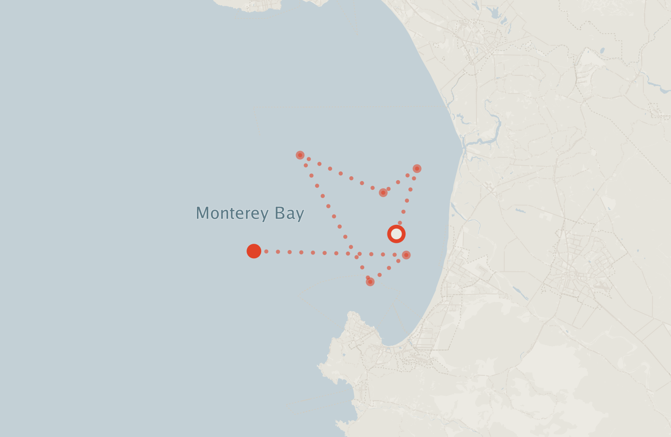 Activity map — real sighting points on an OpenStreetMap basemap