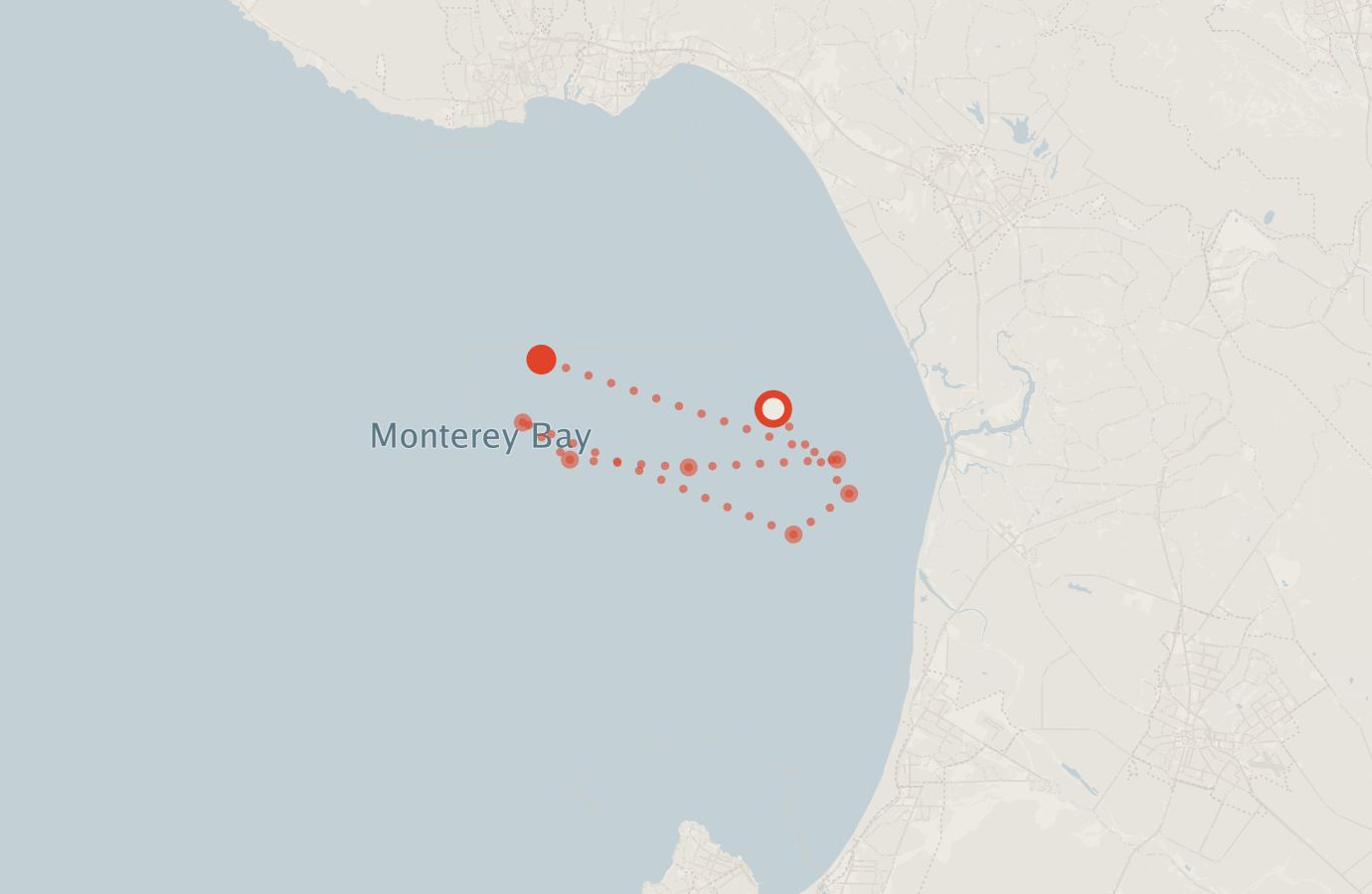 Activity map — real sighting points on an OpenStreetMap basemap
