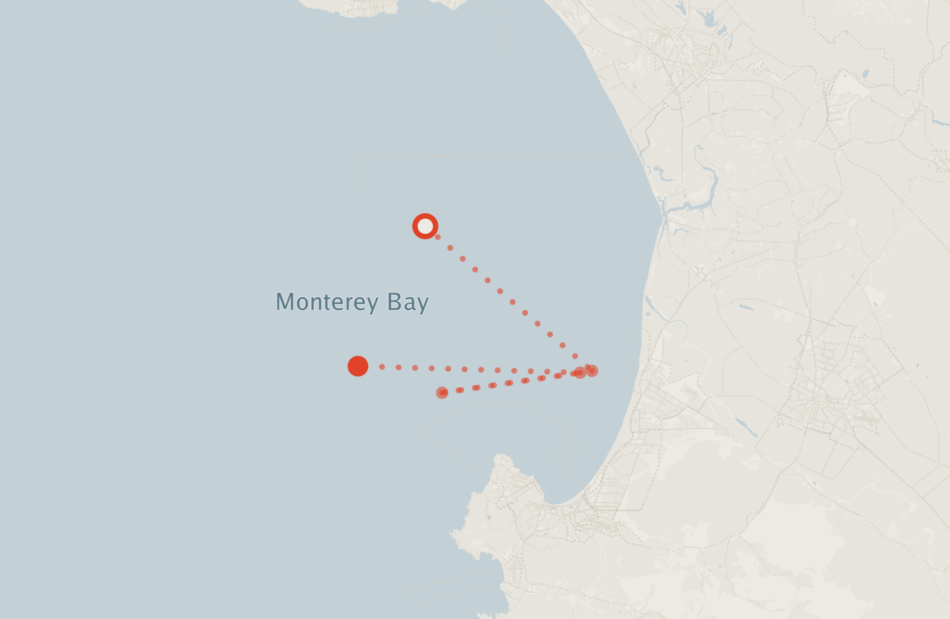 Activity map — real sighting points on an OpenStreetMap basemap