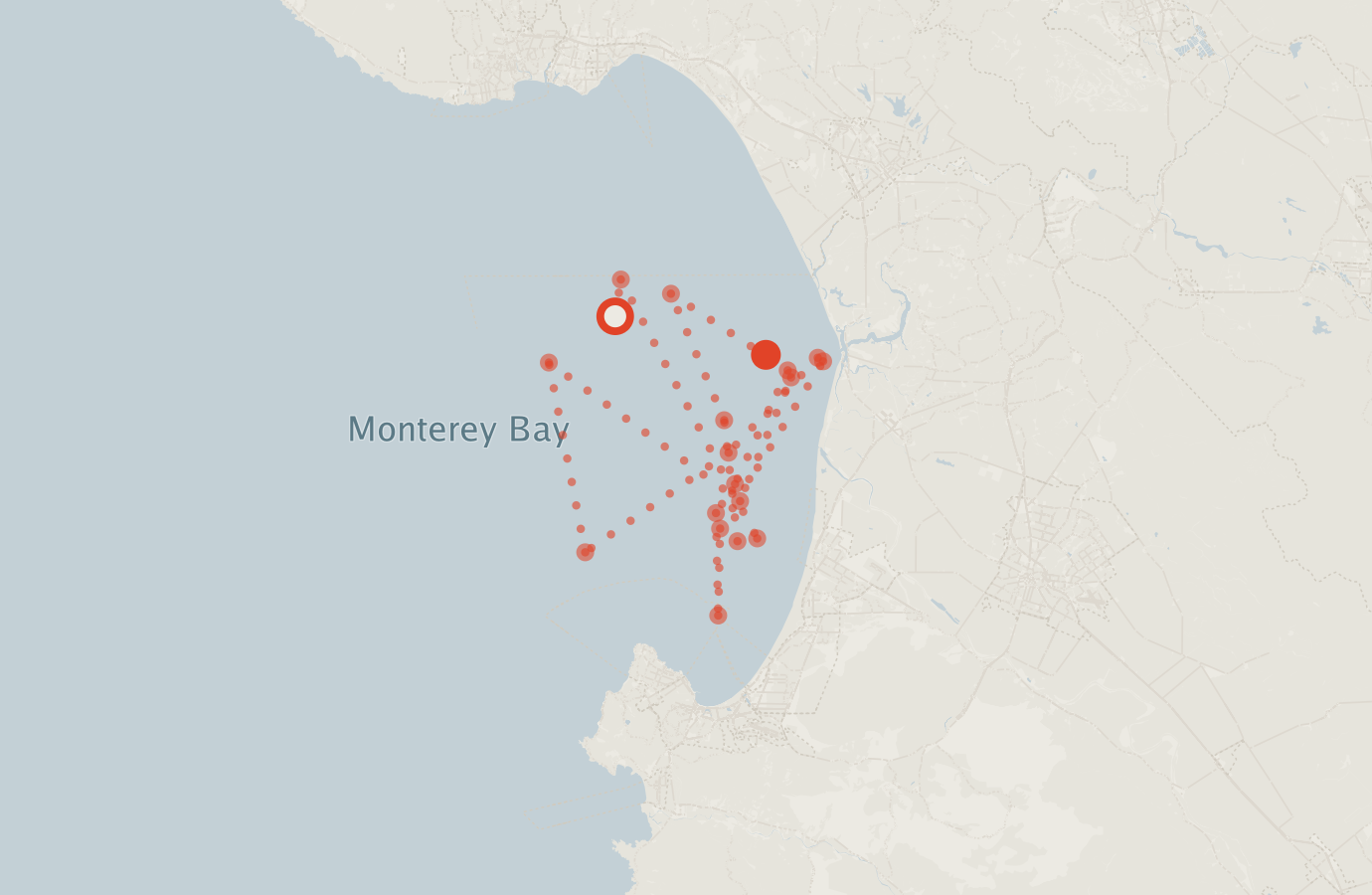 Activity map — real sighting points on an OpenStreetMap basemap