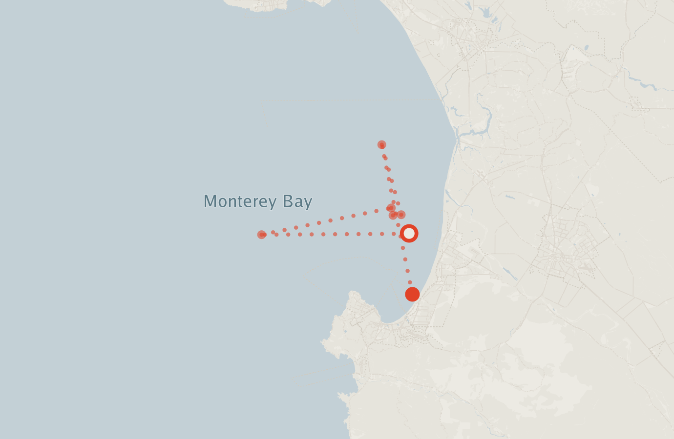 Activity map — real sighting points on an OpenStreetMap basemap