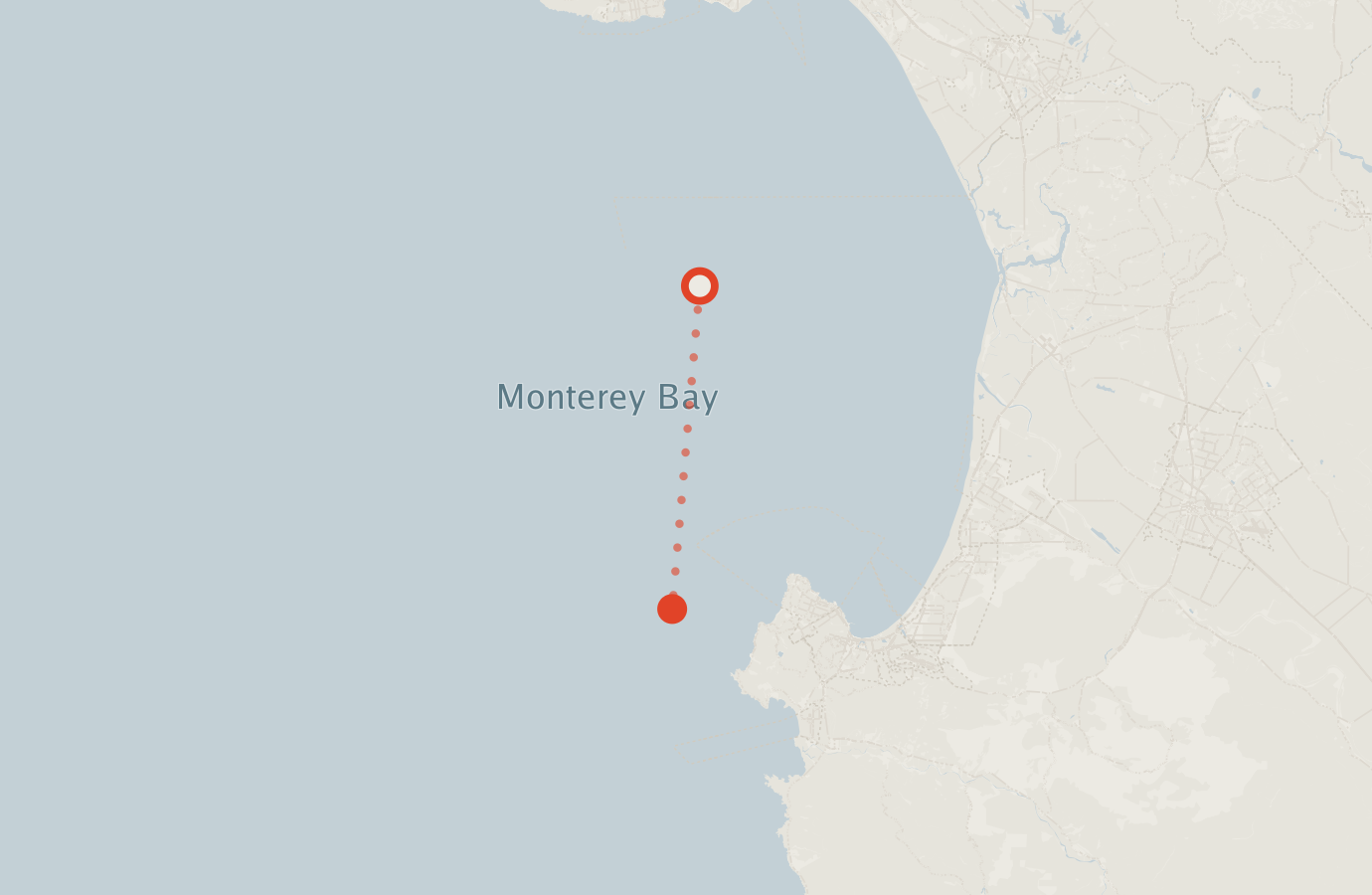 Activity map — real sighting points on an OpenStreetMap basemap