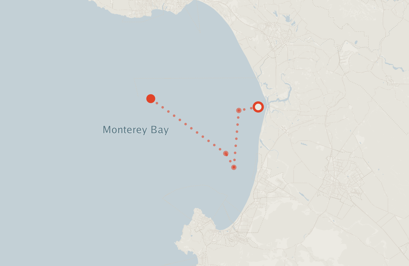 Activity map — real sighting points on an OpenStreetMap basemap