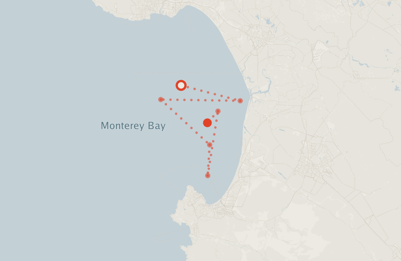 Activity map — real sighting points on an OpenStreetMap basemap