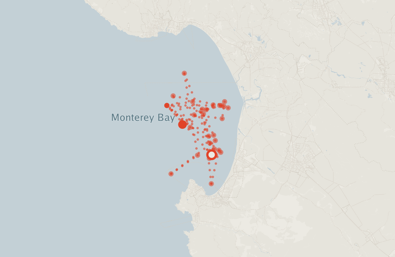 Activity map — real sighting points on an OpenStreetMap basemap