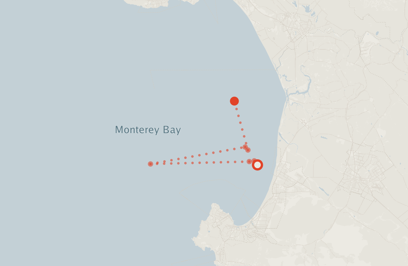 Activity map — real sighting points on an OpenStreetMap basemap