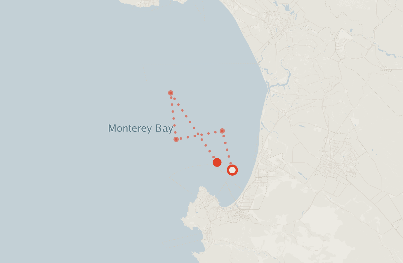 Activity map — real sighting points on an OpenStreetMap basemap