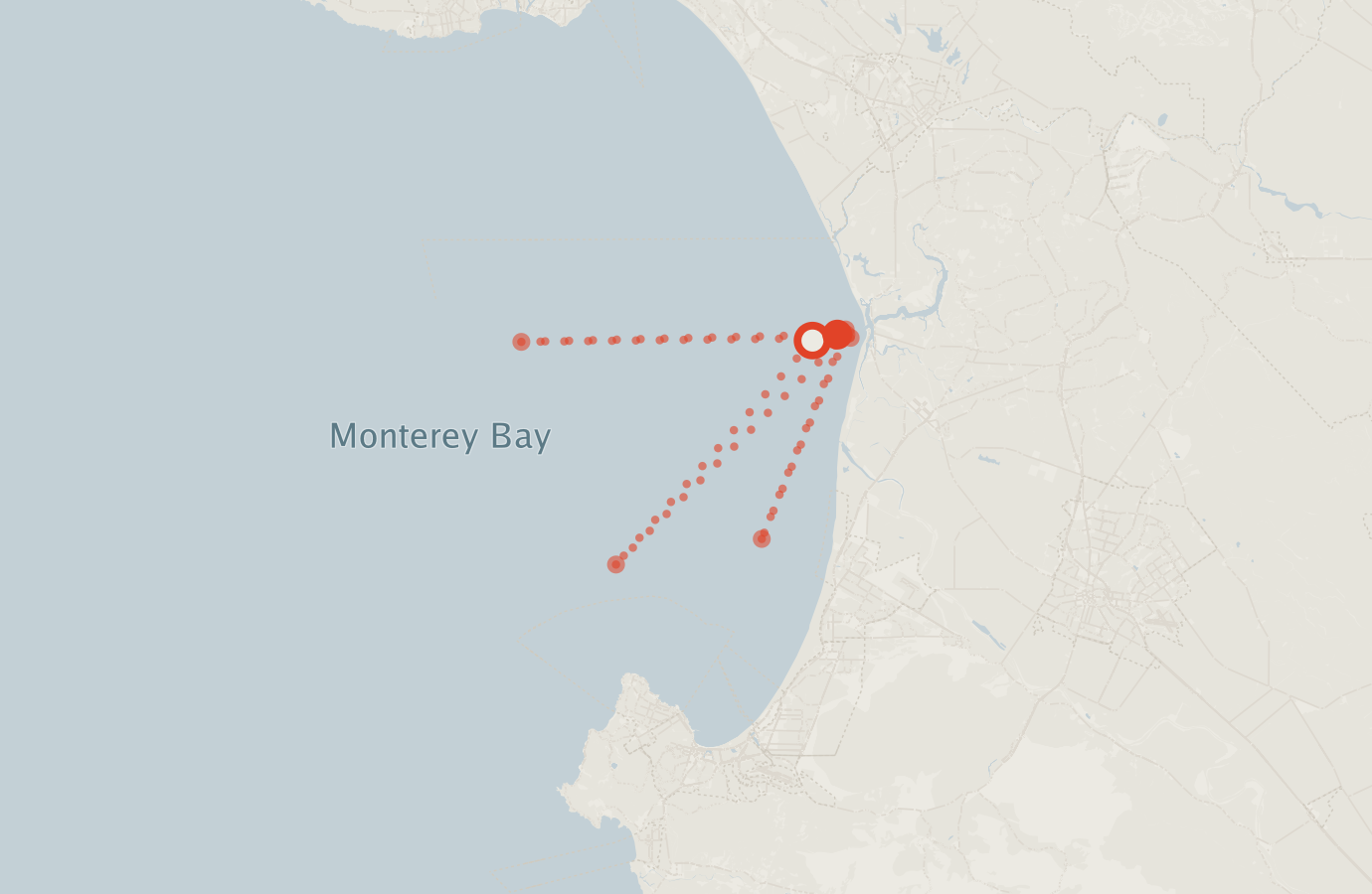 Activity map — real sighting points on an OpenStreetMap basemap