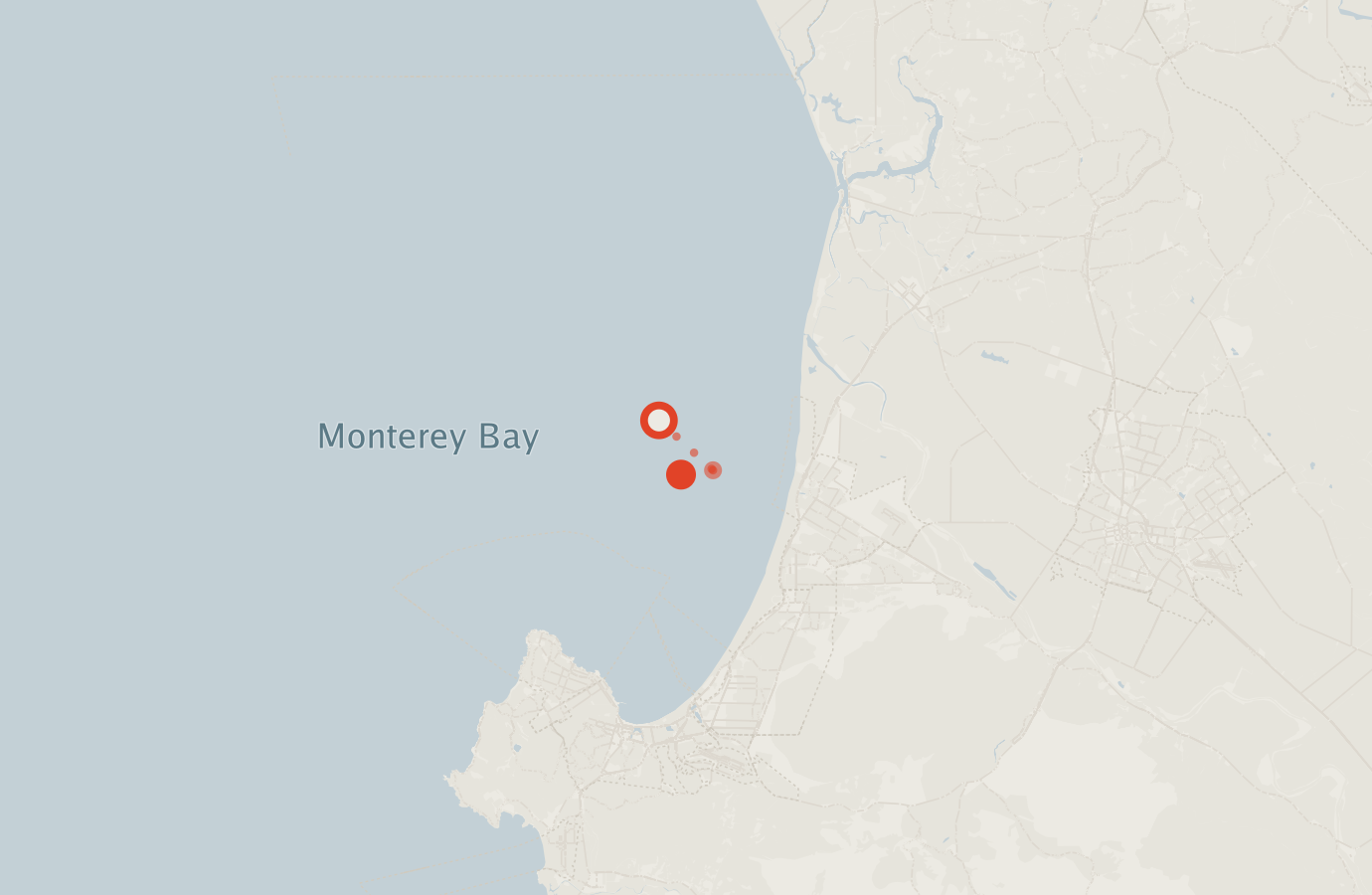Activity map — real sighting points on an OpenStreetMap basemap