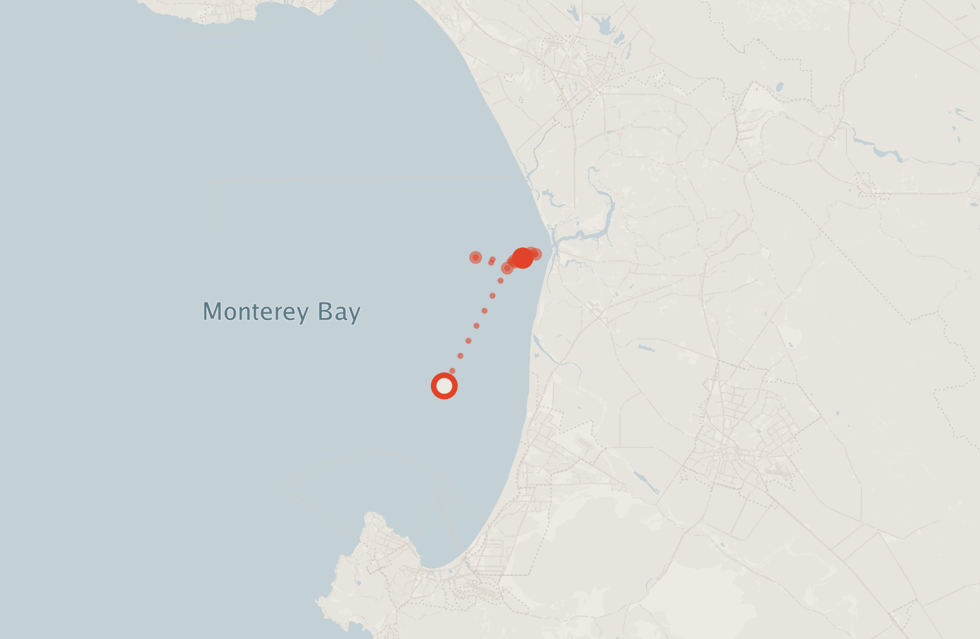 Activity map — real sighting points on an OpenStreetMap basemap
