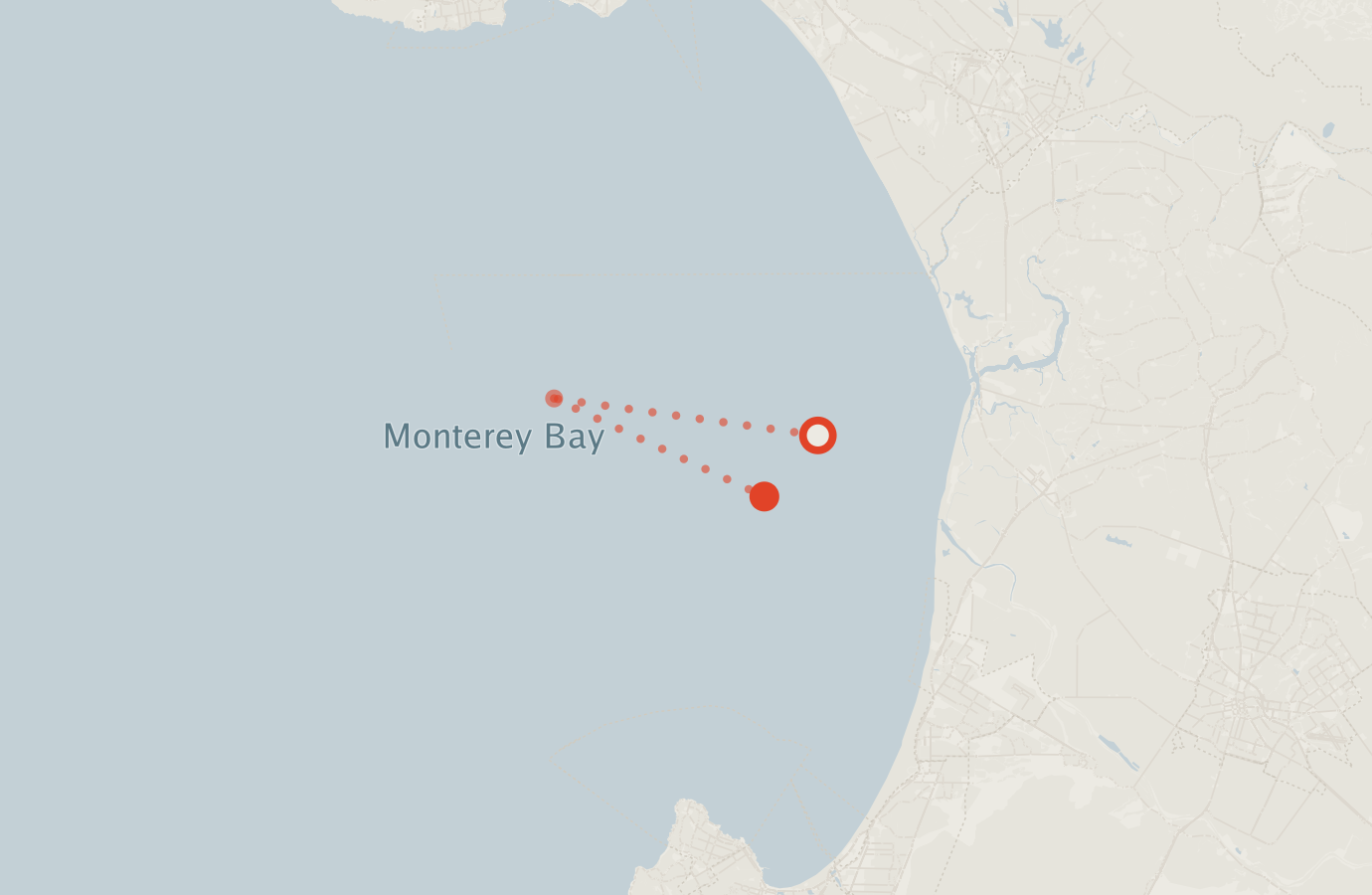 Activity map — real sighting points on an OpenStreetMap basemap