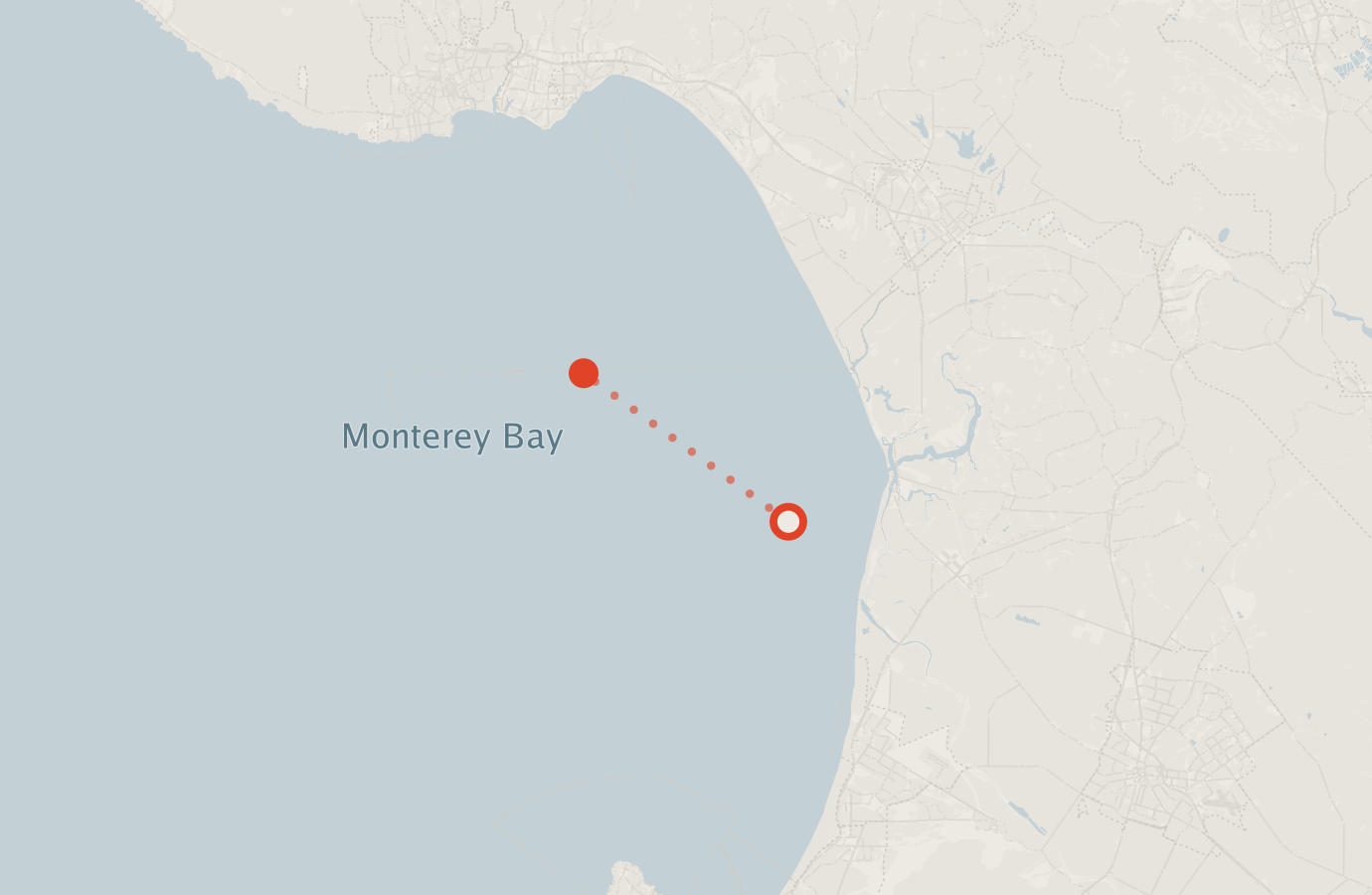 Activity map — real sighting points on an OpenStreetMap basemap