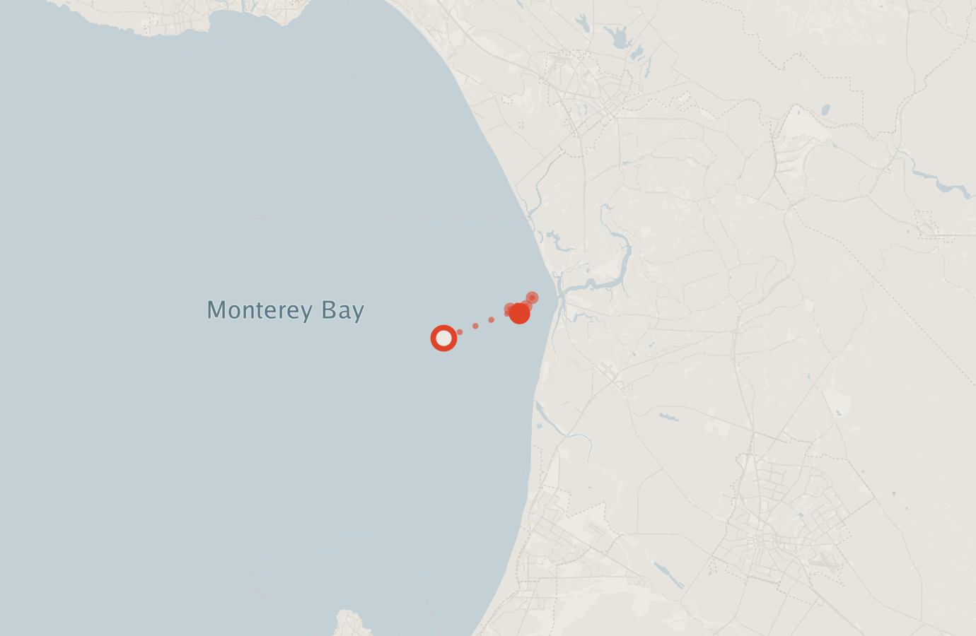 Activity map — real sighting points on an OpenStreetMap basemap