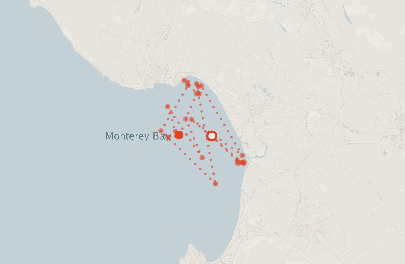Activity map — real sighting points on an OpenStreetMap basemap